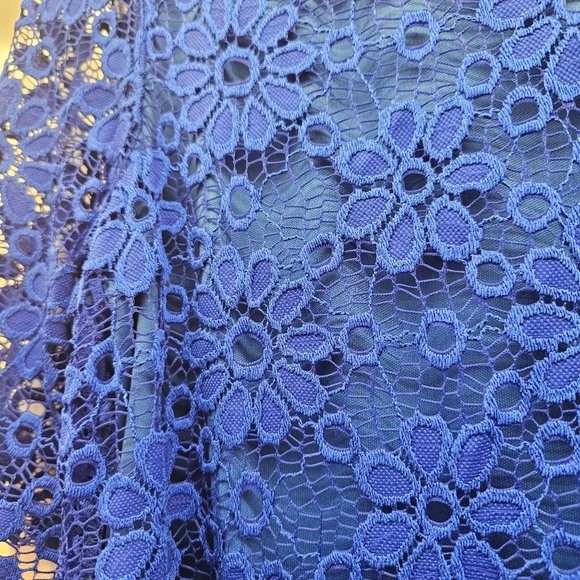 Tiana B. Vibrant Blue Lace & Embroidery Pullover Swing Lined Dress Size XL - Picture 7 of 10